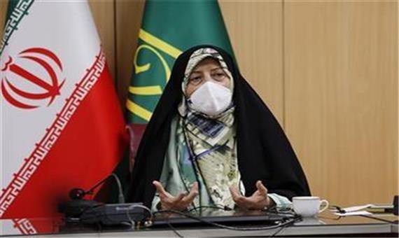 تلاش کردیم با 250 تفاهم یا موافقت نامه، همه دستگاهها را برای زنان پای کار بیاوریم