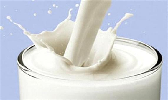 مصرف شیر و لبنیات؛ اقدامی ضروری برای جلوگیری از کوتاهی قد