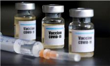 کارکنان بهشت زهرا (س) و کادر درمان شهرداری دز سوم واکسن کرونا را دریافت کردند