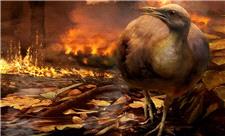 پرنده‌ها چگونه از رویداد برخورد نابودگر دایناسورها جان سالم به در بردند؟