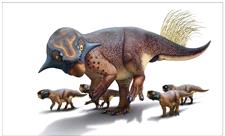گوناگون/ جنس پوست دایناسورها و جانوران ماقبل تاریخ چگونه بود؟