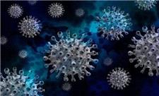 ویروس‌های ارتوپاکس، تهدیدی دیگر در قرن 21