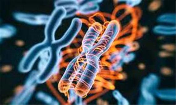 شناسایی ژن‌های موثر در بیماری پلی کیستیک کلیه در ایران