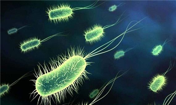 شناسایی قطعی پنج بیمار مبتلا به وبا در کشور