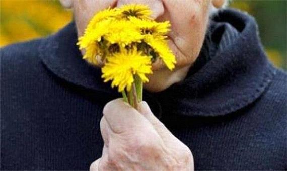 از بین رفتن سریع حس بویایی علامت اولیه بیماری آلزایمر