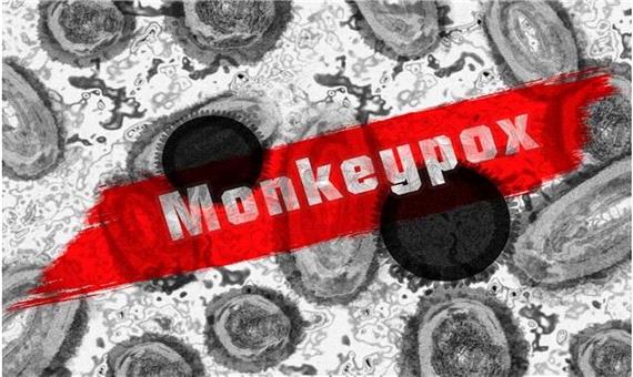 اطلاعات به روز شده درباره علائم و شیوع اخیر آبله‌ میمونی