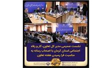 اشتغالزایی 63 هزار و 700 نفر در 5 هزار و 379 شرکت تعاونی استان کرمان