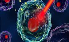 مقابله با ملانوما توسط لیزر کم‌توان و ویتامین D
