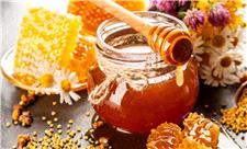 اینفوگرافی/ فواید مصرف روزانه «عسل»