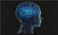 چگونه مغز را به یک جنگجوی هوشمند تبدیل کنیم؟
