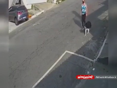 پت و مت به روایت تصویر!