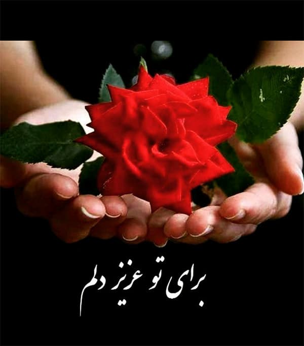 آریا بانو
