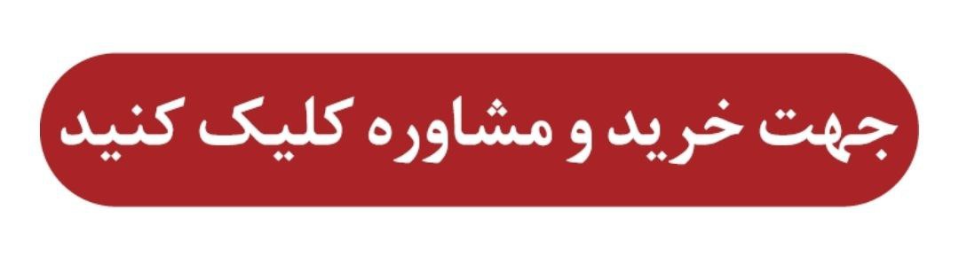 آریا بانو