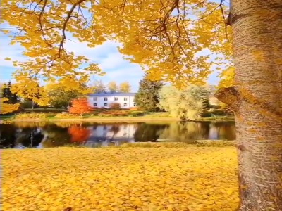 طبیعت زیبای فنلاند، لاپوا