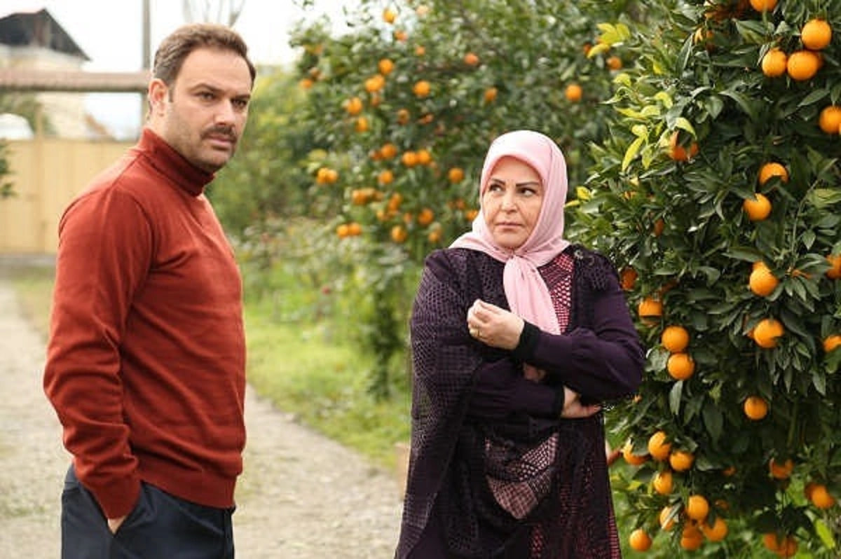 قاب پربازدید از دورهمی سه بازیگر سریال ستایش