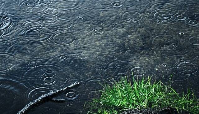 بارش باران و کاهش دما در برخی استان‌ها