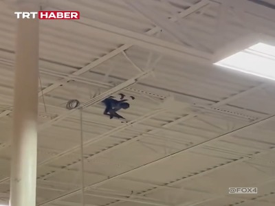 میمون از ترس جمعیت از سقف فروشگاه بالا رفت