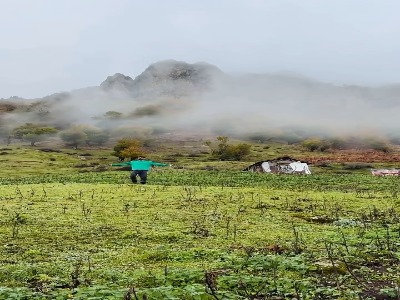گیلان قطعا قطعه ای از بهشته !