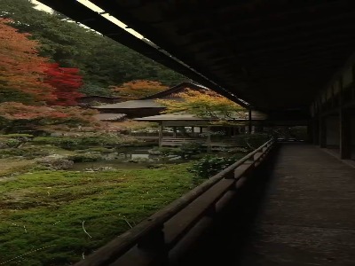 زیبایی‌های پائیزی در ژاپن