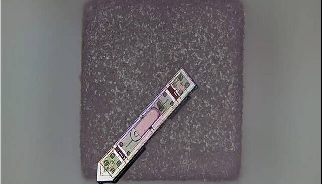 ابداع یک ایمپلنت مغزی کوچک‌تر از یک دانه نمک!