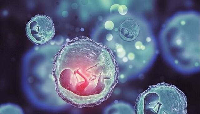 بررسی علمی و اخلاقی یک درمان جدید برای ناباروری