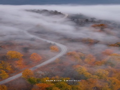 حال و هوای پاییز در مازندران زیبا