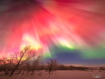 طبیعت در نمایش تازه‌اش می درخشد!