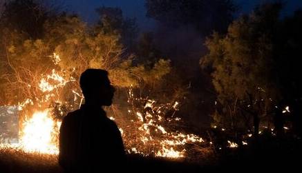 آتش در جنگل‌های جاده چالوس