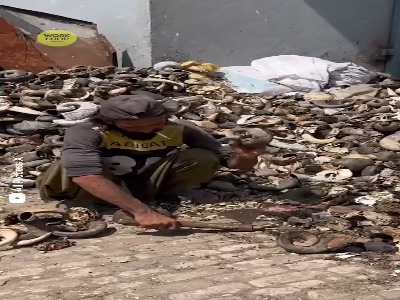 ماگ از جنس عاج فیل