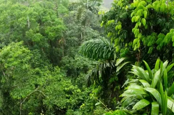 ۴ گوشه دنیا / شگفتی های جنگل آمازون، ریه های کره زمین