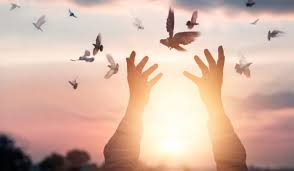 بلایی که دچار می‌شویم متناسب با استعدادمان است!