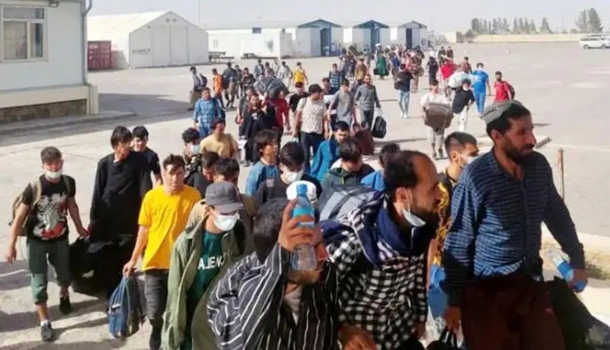 روند طرد اتباع غیرمجاز در تهران کند شده/ باید کلونی های تجمع اتباع را شناسایی کنند