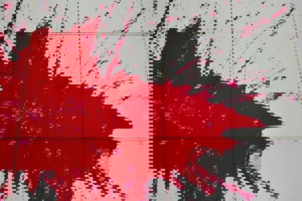 سلاح غیر مجاز پدر، خانواده قاتل جانش شد