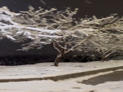 ویدیوی زیبای برفی از پارک خورشید مشهد