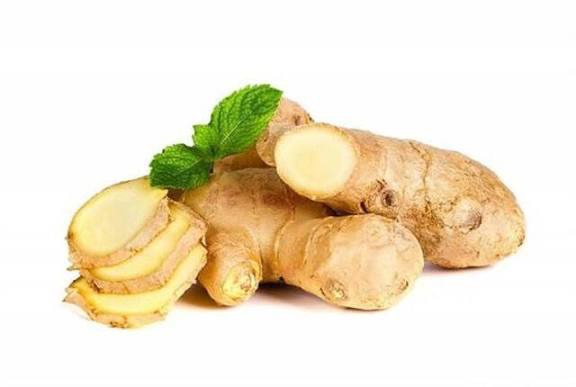 زنجبیل برای مزاج گرم و تر