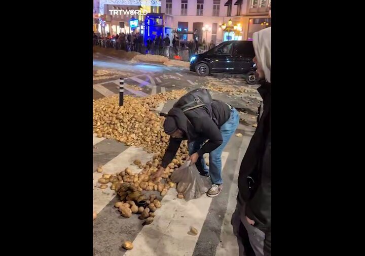 سنگفرش این خیابان از سیب زمینی است!