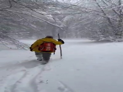 زیبایی جنگل‌های دیلمان پوشیده از برف