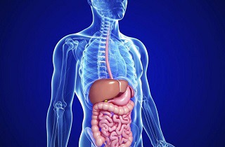 عارضه های زنجبیل برای گوارش