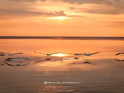 ویدئویی دیدنی از غروب میانکاله