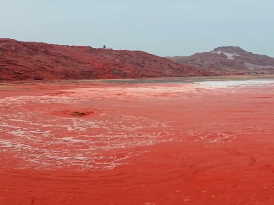 ساحل سرخ در قرمزترین حالت ممکن