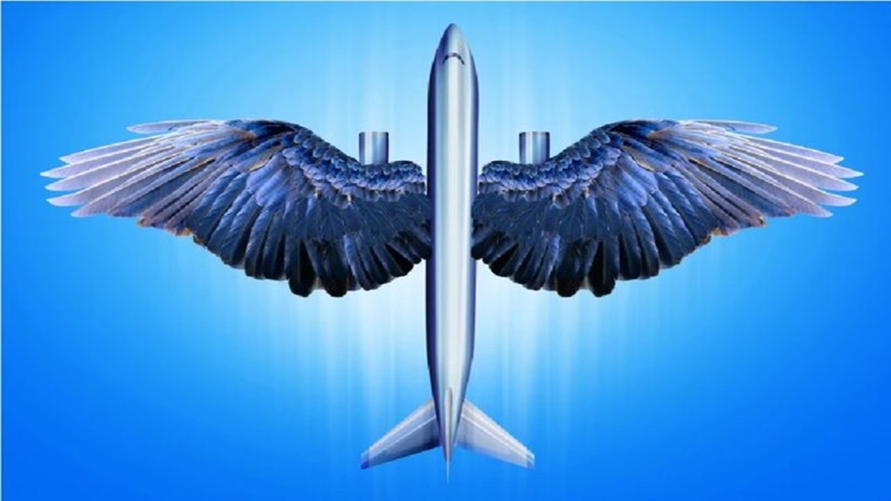 گوناگون/باغ‌وحش رباتیک؛ از «عروس دریایی جاسوس» تا «مگس‌های آب‌نشین»