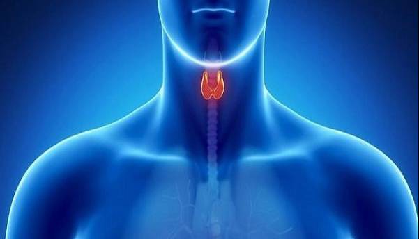 مراقب خرابی «پدال گاز» بدن باشید