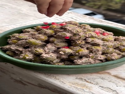 زیتون پرورده اصیل گیلانی