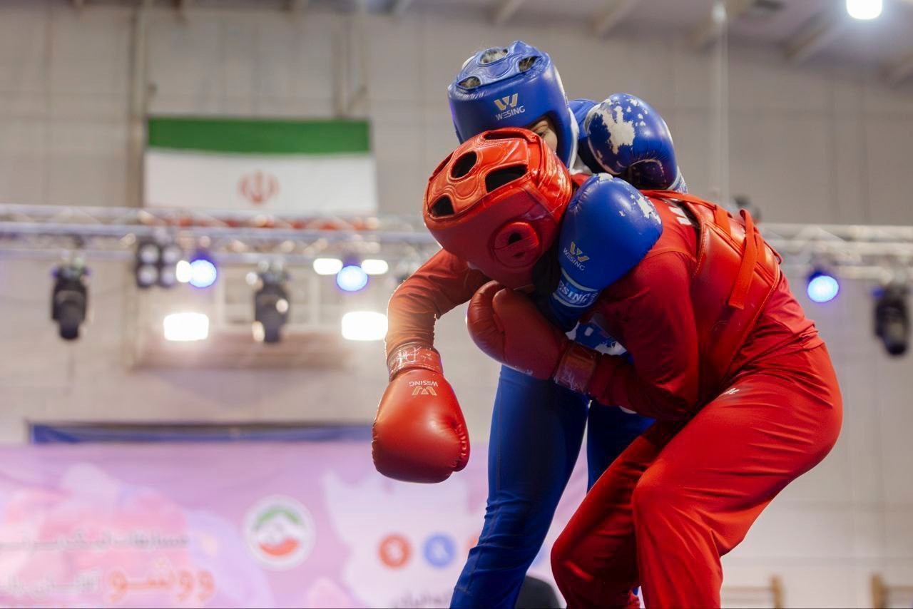 تعویق لیگ برتر ووشو