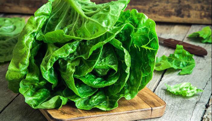 چه قسمتی از کاهو نیترات بیشتری دارد؟