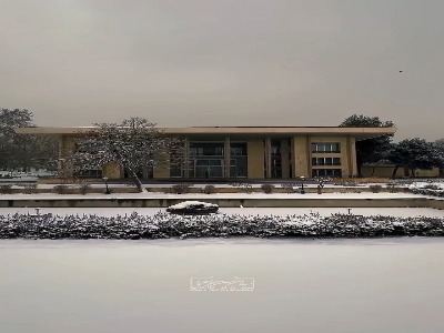 کاخ نیاوران در یک روز برفی