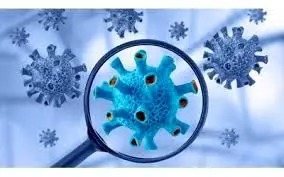 شیوع ویروس نیپا در آسیا؛ استرالیا شرایط را زیر نظر دارد