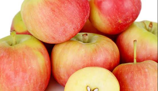 خوردن روزانه سیب مضر است؟