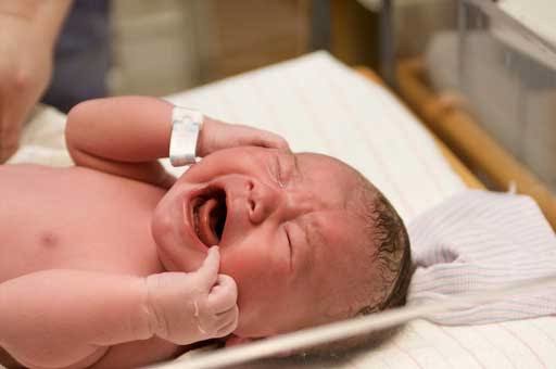 گریه کولیک به دلیل هماهنگی مغز با اعضای بدن است