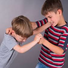 پسرانم خیلی جوگیرانه بازی می‌کنند